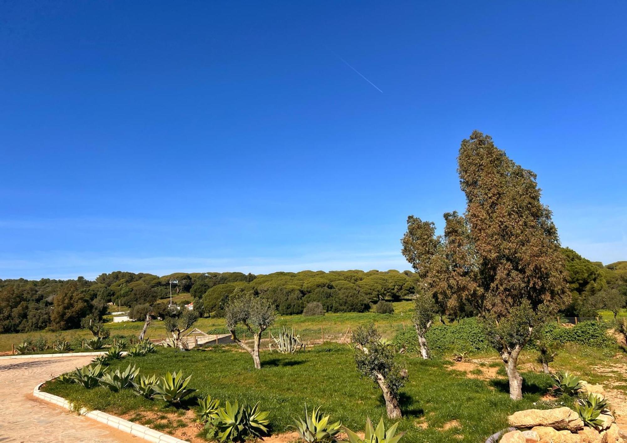 Hacienda La Yerbabuena Villa Cádiz Exteriör bild